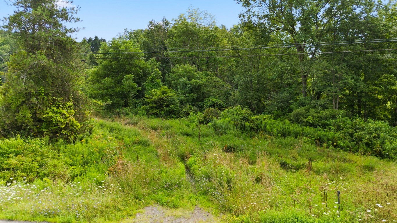 Property Photo:  6010 Nys Rte 26  NY 13862 