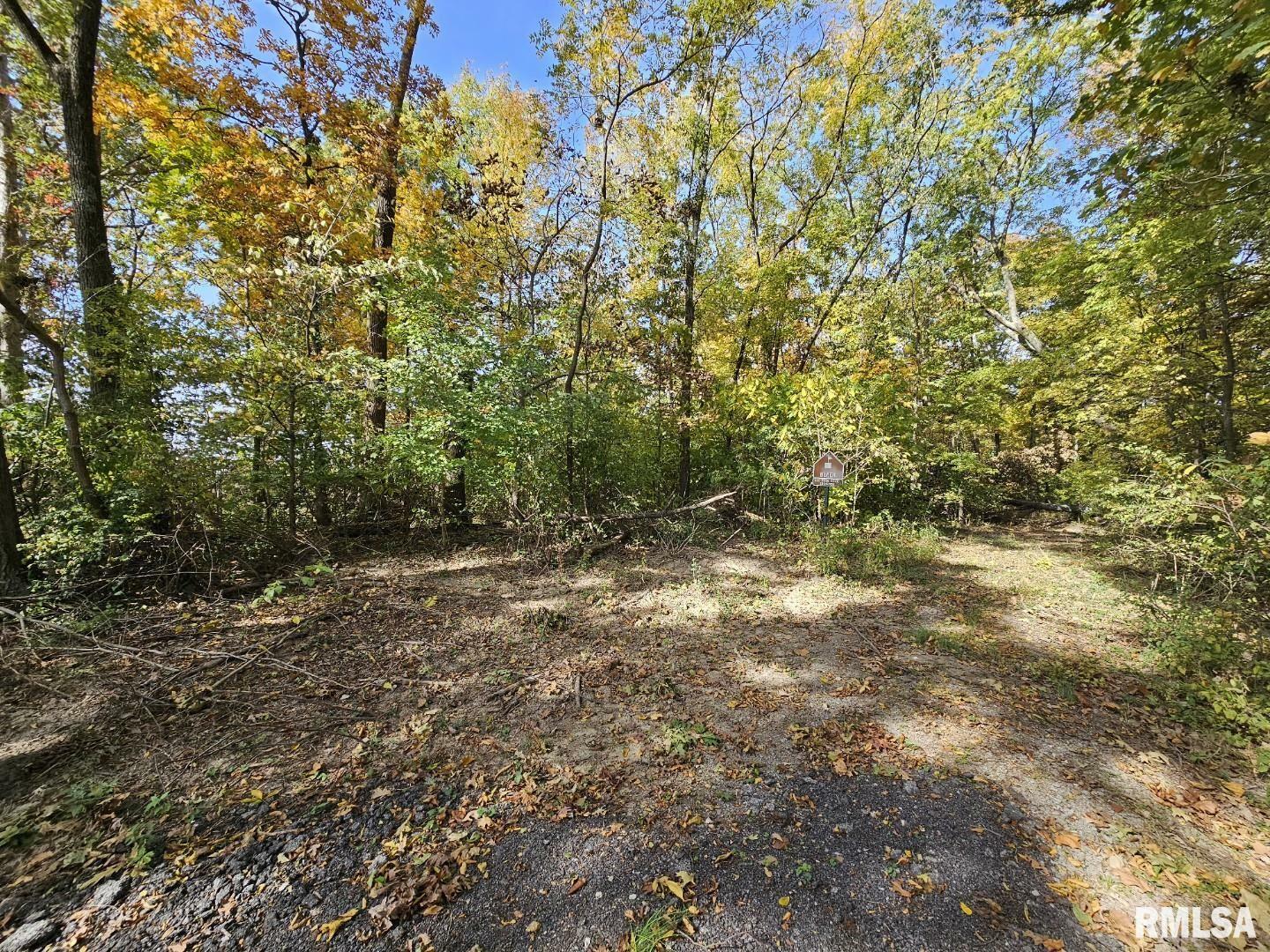 Property Photo:  0000 N Cash Lane  IL 62894 