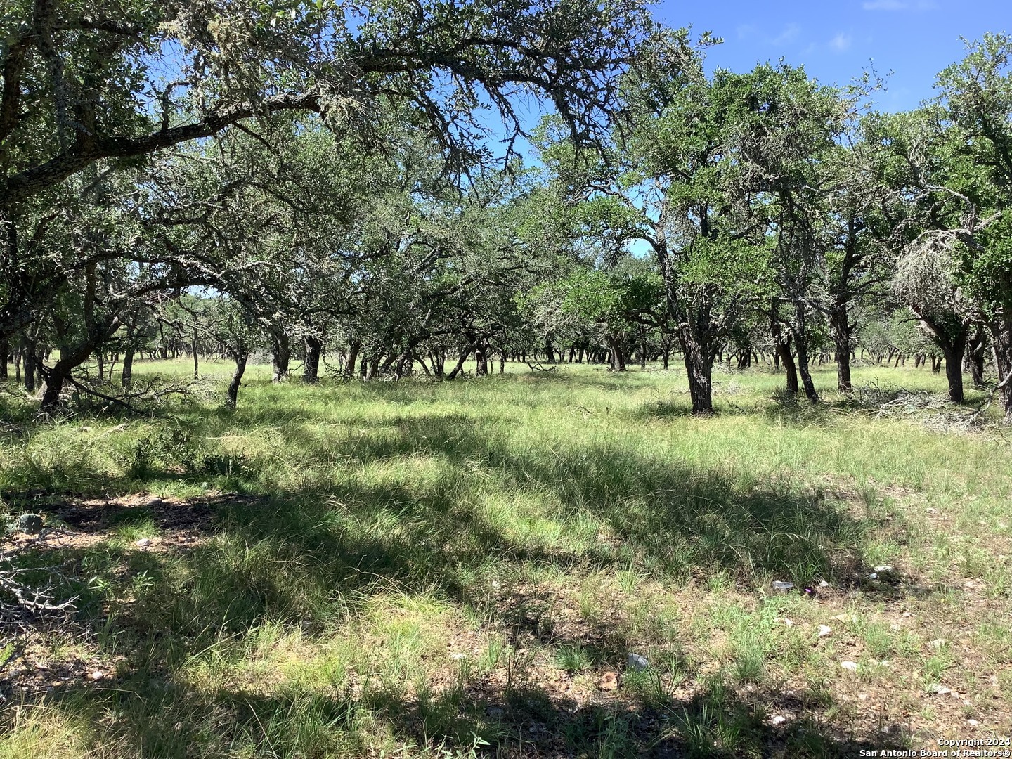 Property Photo:  477 Burrus Ranch Rd.  TX 78058 