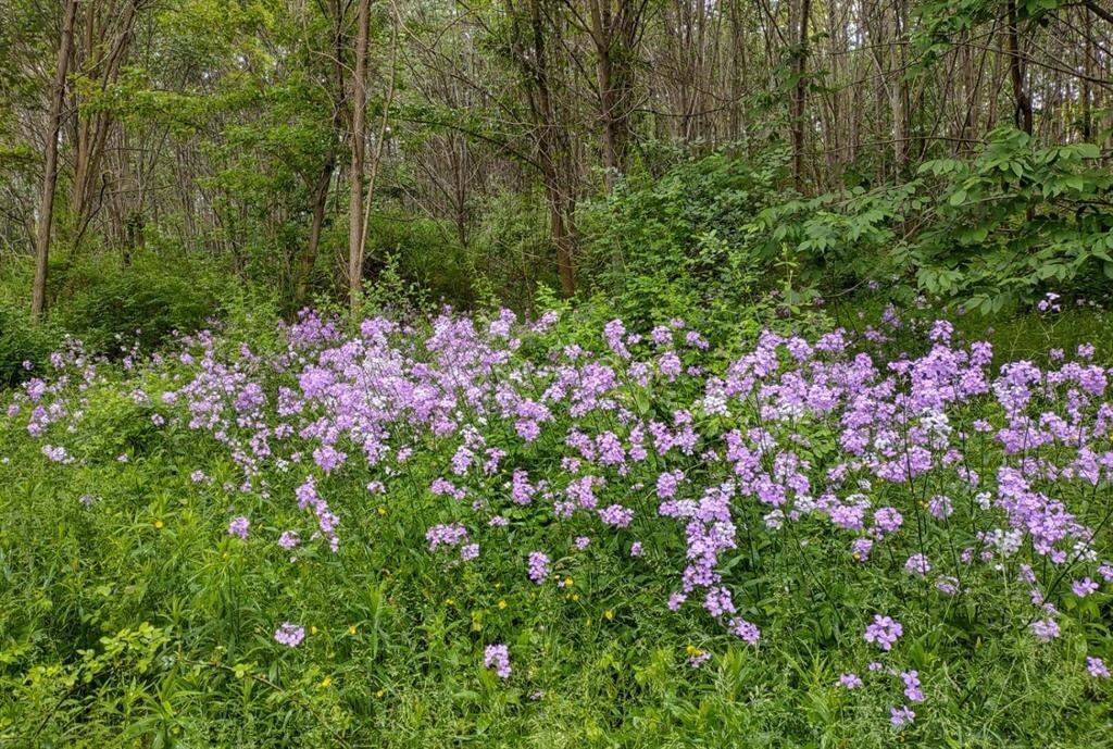 Property Photo:  5980 Turnpike Road  NY 14886 