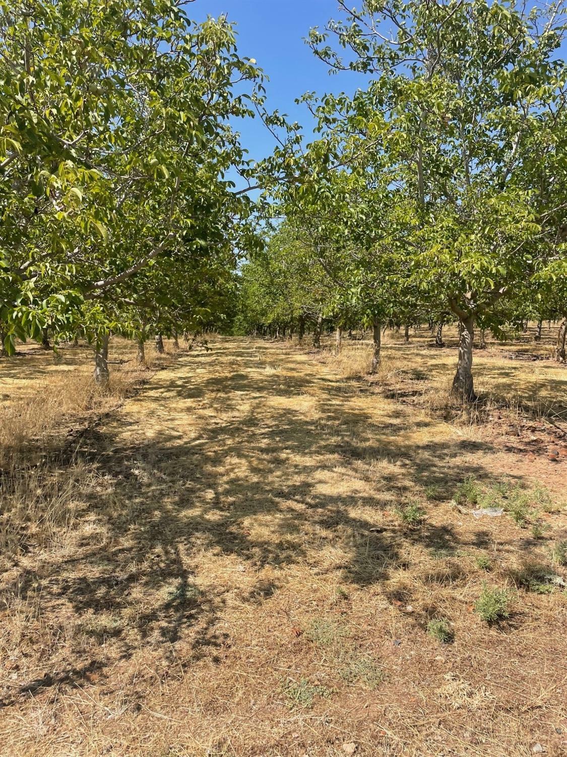 Property Photo:  7299 N Waverly Road  CA 95236 