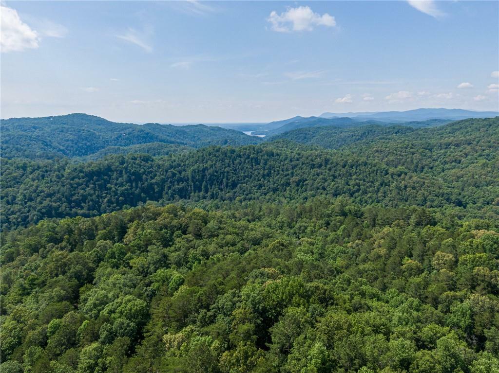 Property Photo: 1219 Hilton Drive GA 30734