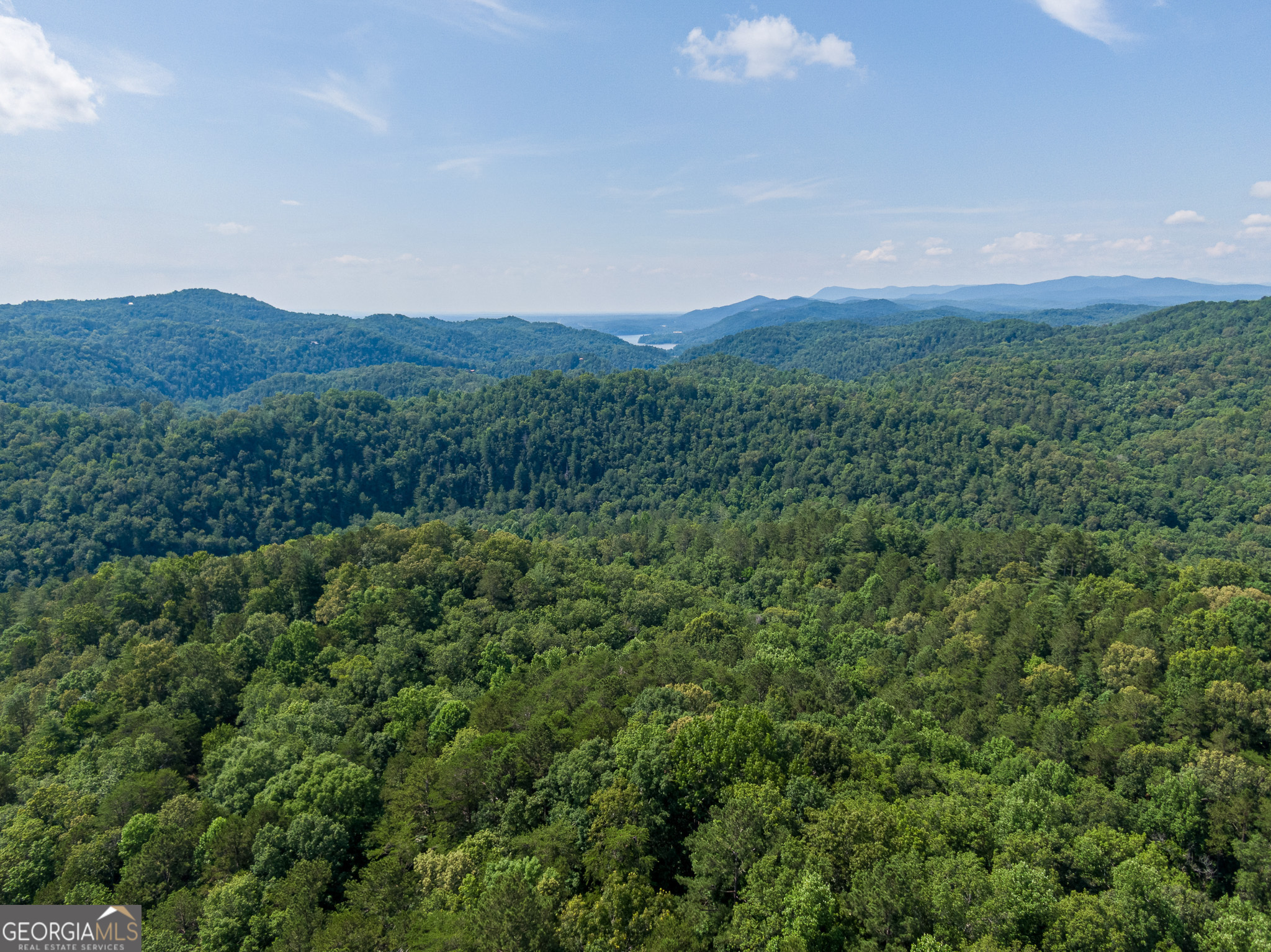 Property Photo: 1791 Marie Drive GA 30175