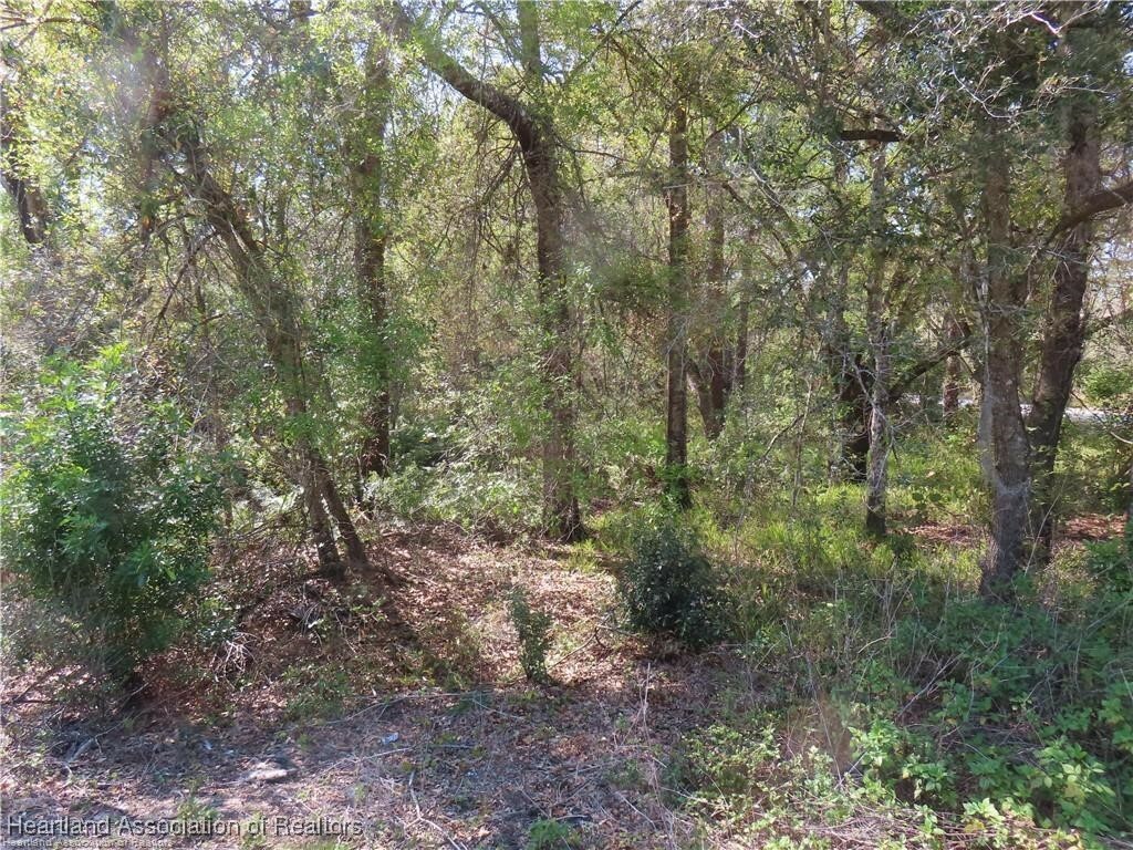 Property Photo:  6901 Burkett Avenue  FL 33875 