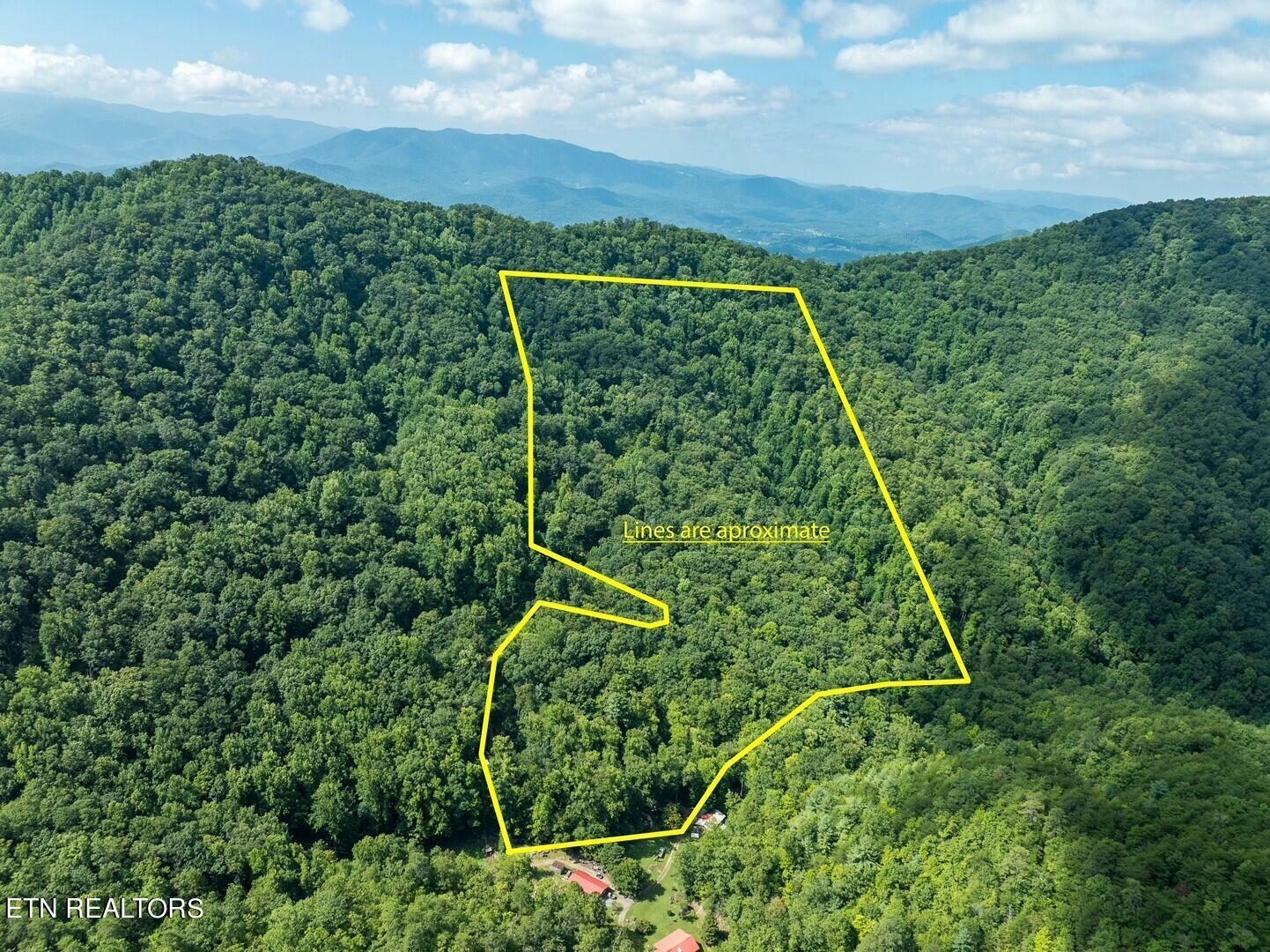 Property Photo:  10 Acres Carrs Creek Rd  TN 37882 