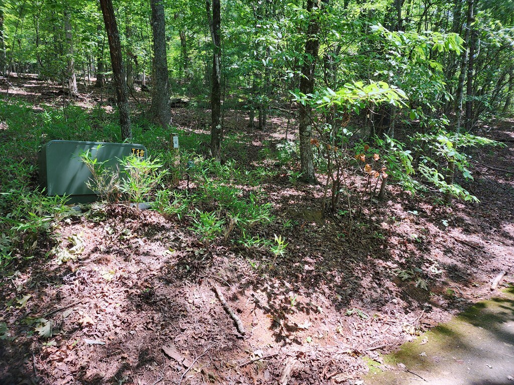 Property Photo:  00 Timberline Lane  NC 28904 