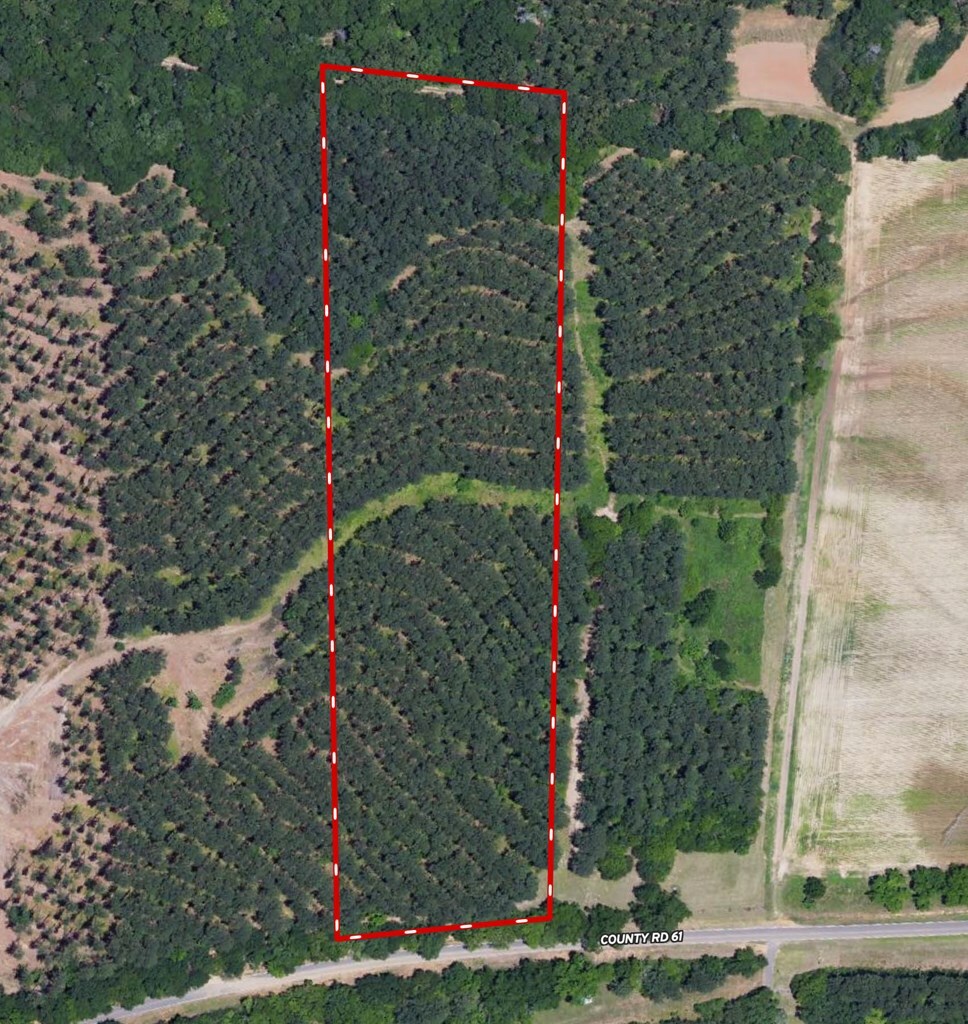 Property Photo:  10.4 Acres County Road 61  AL 36344 