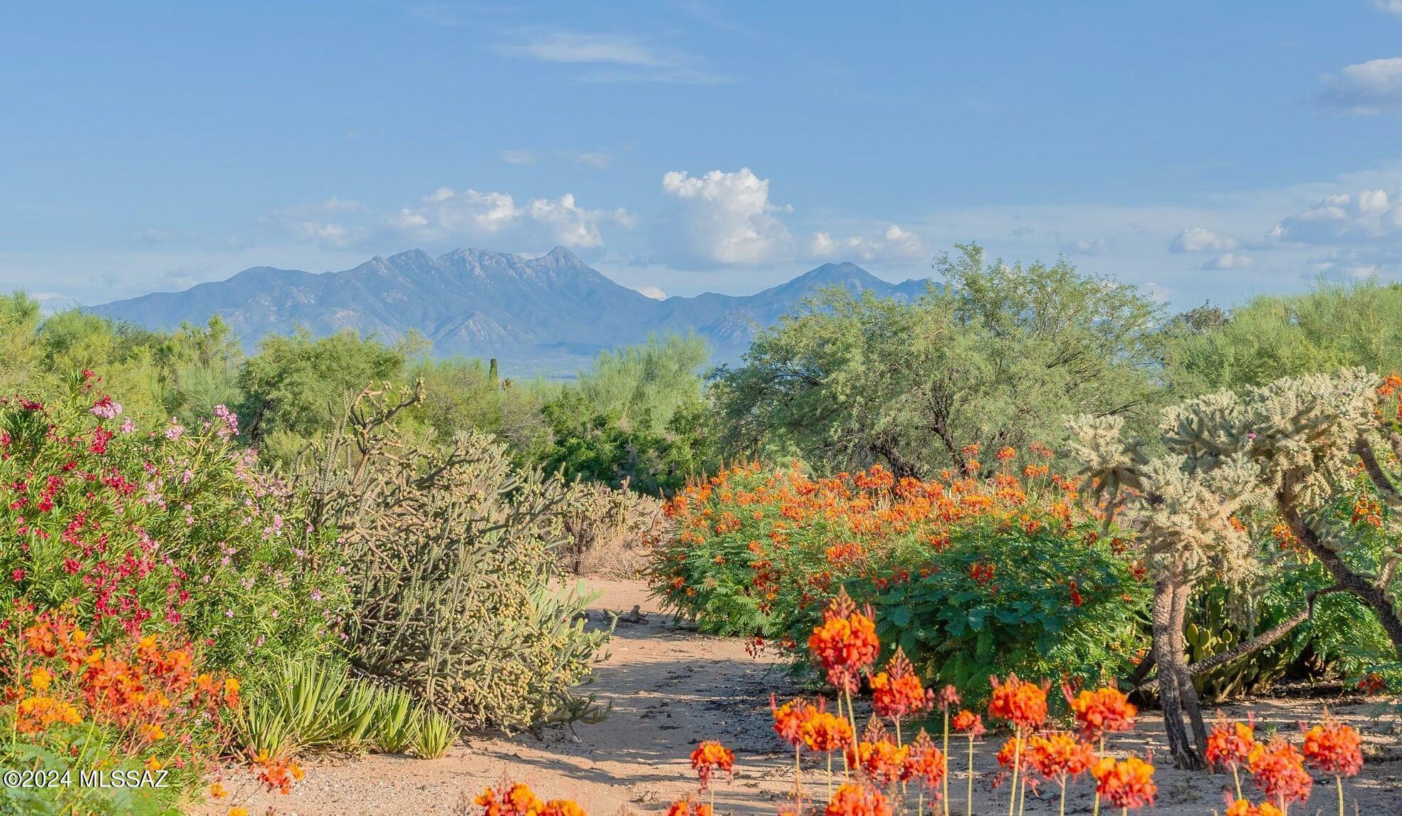 Property Photo:  1566 N Rio Mayo  AZ 85614 