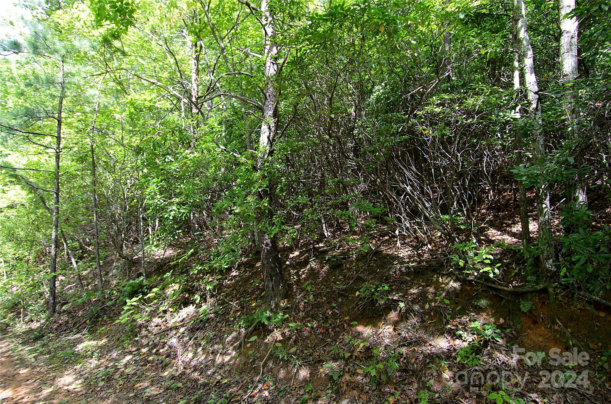 Property Photo:  0 Jarrell Loop  NC 28762 