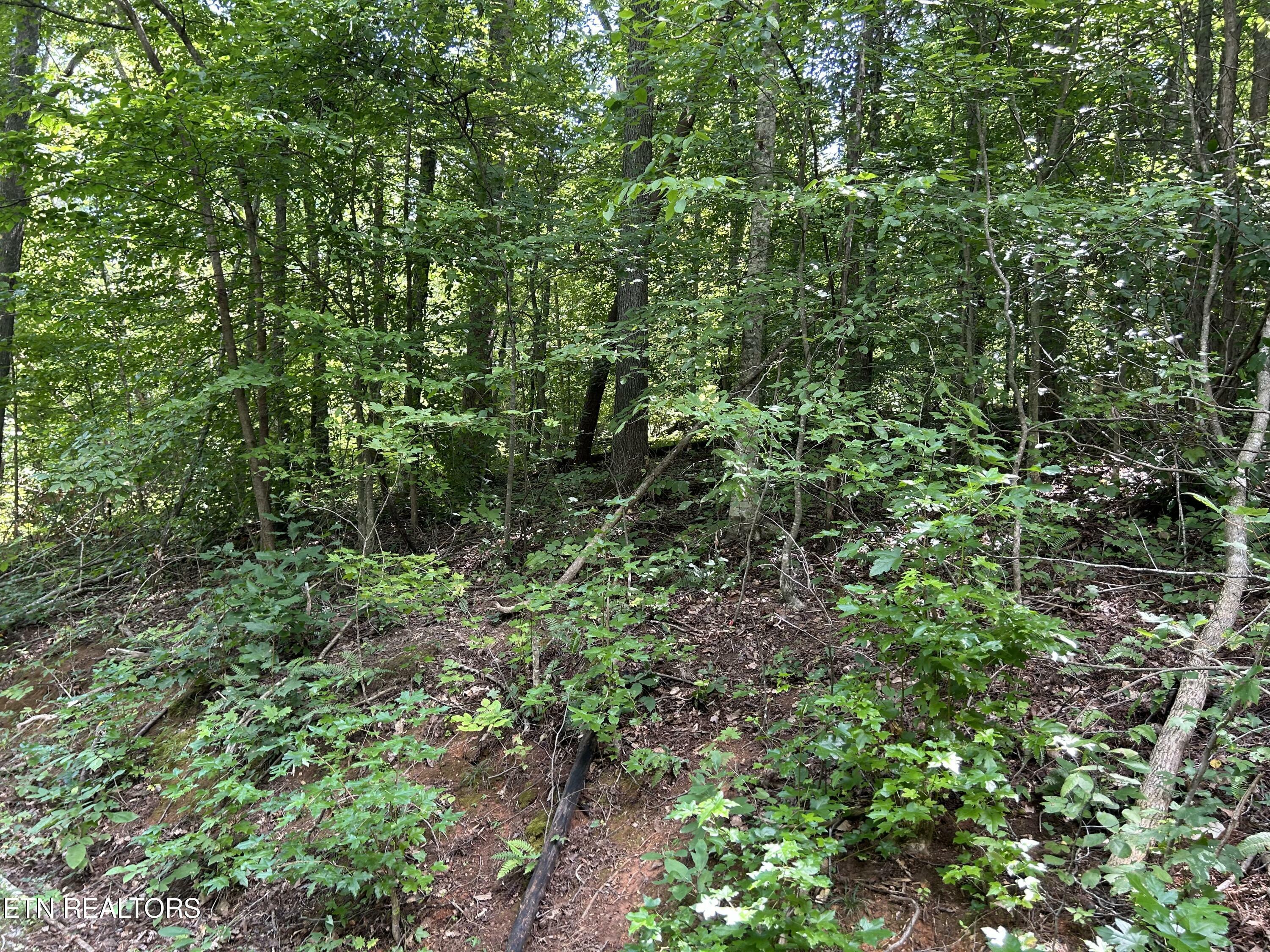 Property Photo:  Pearl Ln Lot 26 Lane  TN 37807 