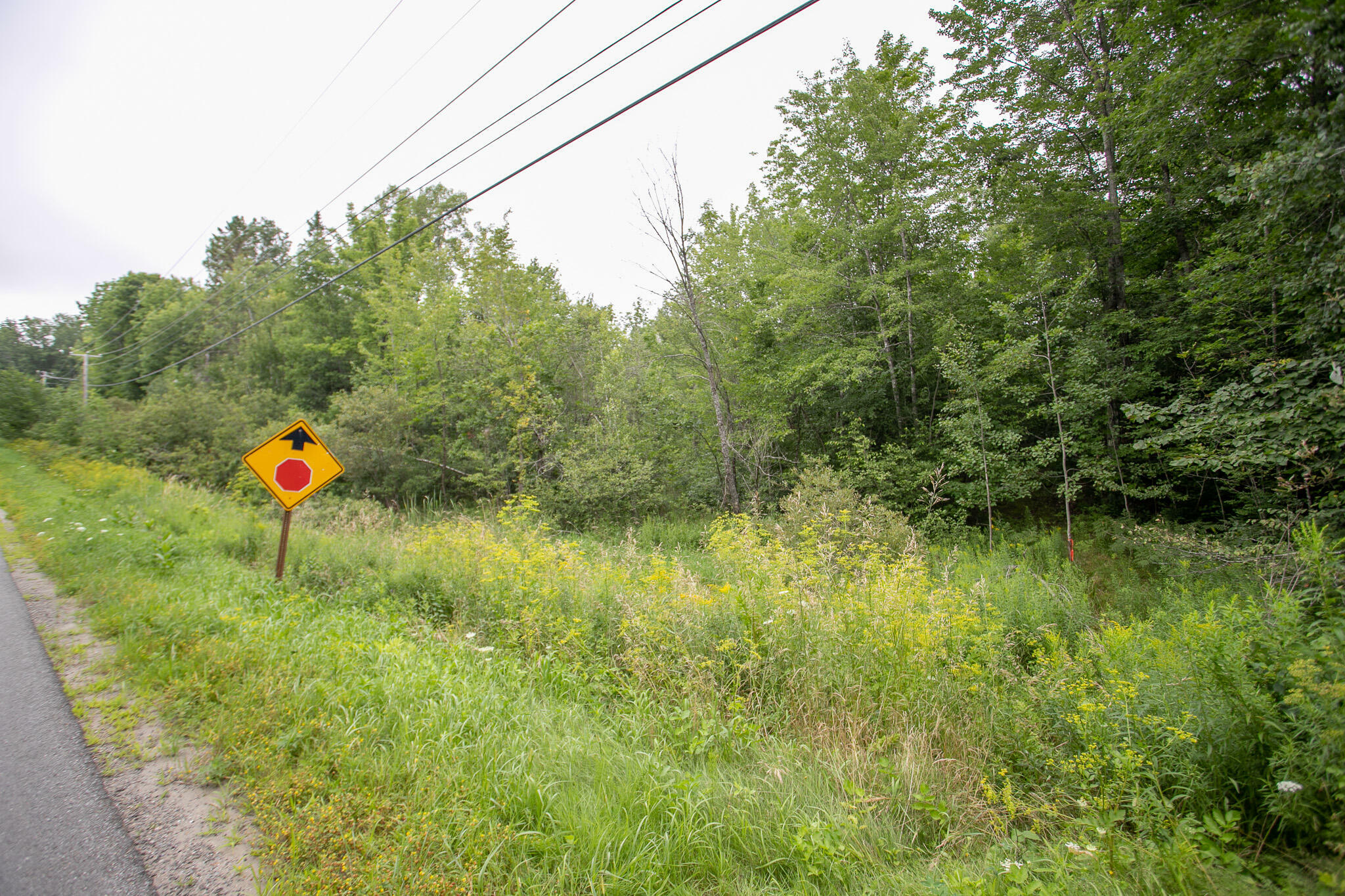 Property Photo:  Lot 44-6 Five Road  ME 04419 