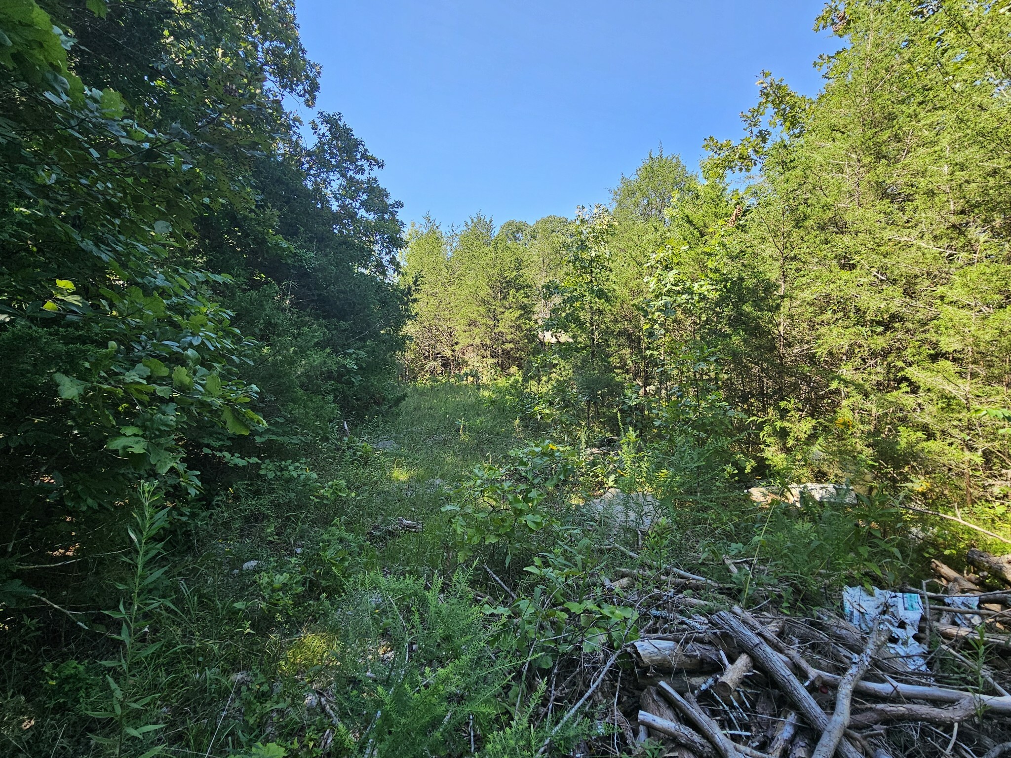 Property Photo:  0 Underwood Rd  TN 37122 