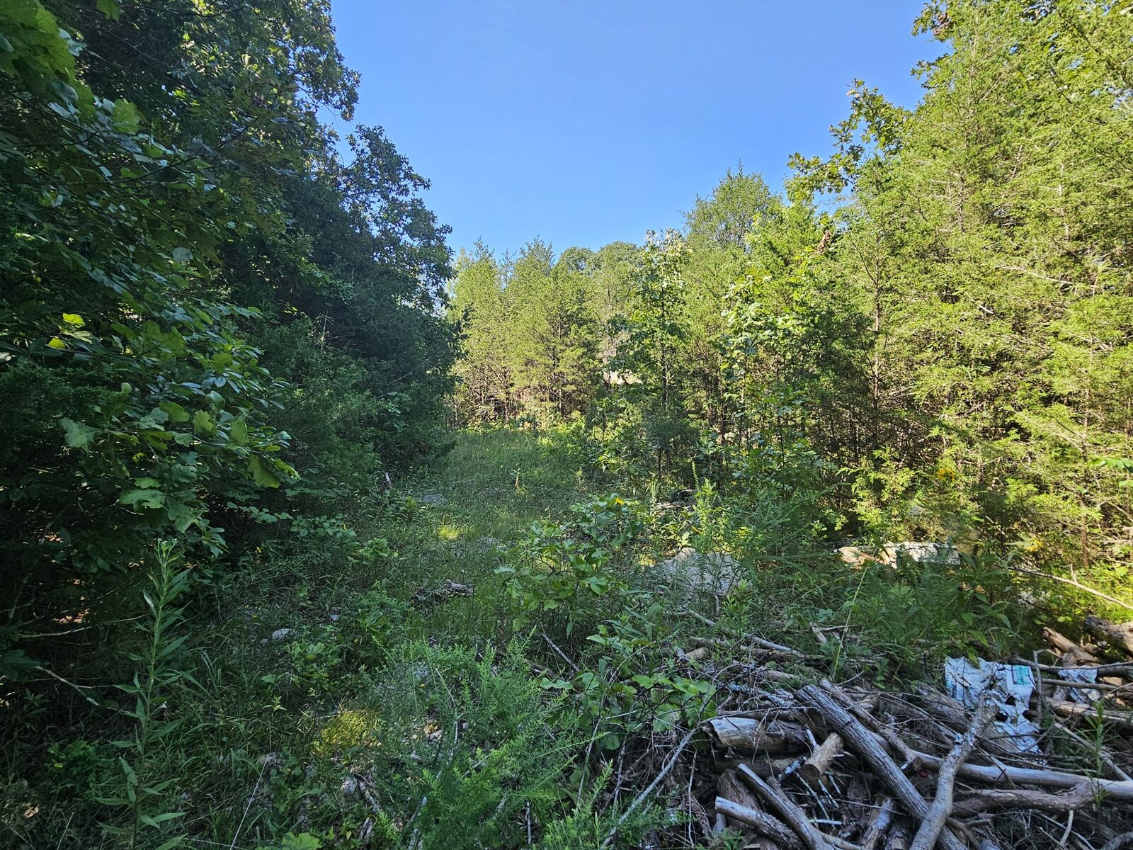 Property Photo:  0 Underwood Rd  TN 37122 