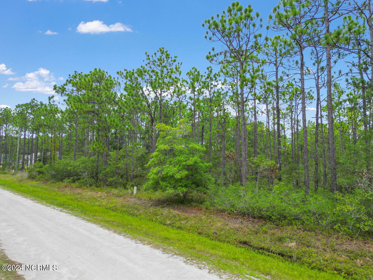 Property Photo:  Lot 414 Bridges Road  NC 28461 