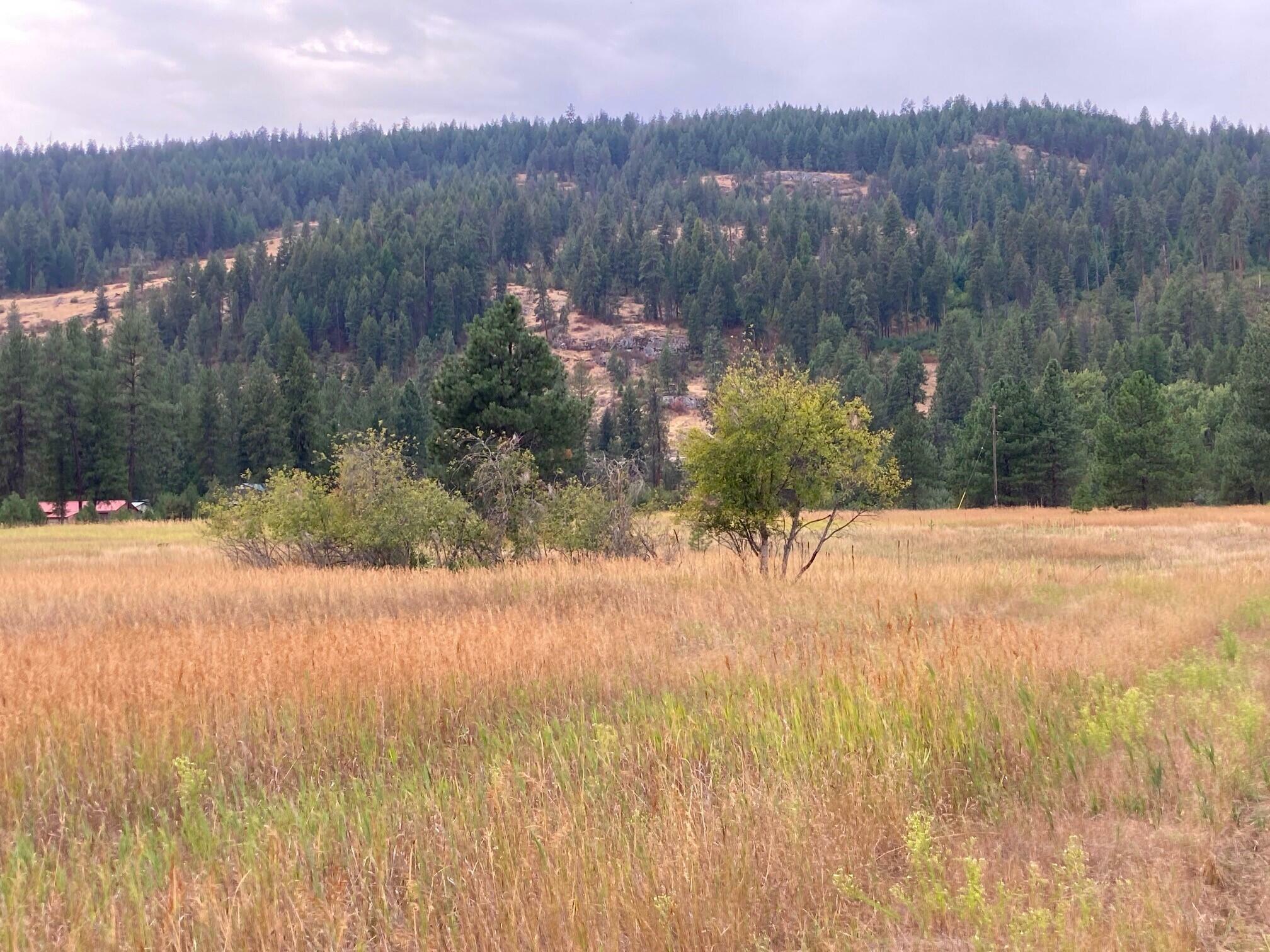 Property Photo:  3349 Ff Rockcut Rd  WA 99141 