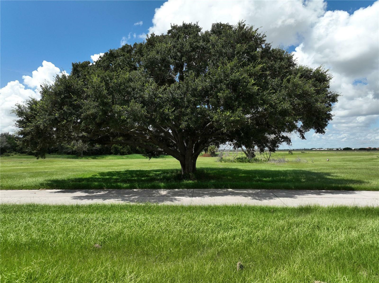 Property Photo:  7191 Golf Club Drive  FL 33876 