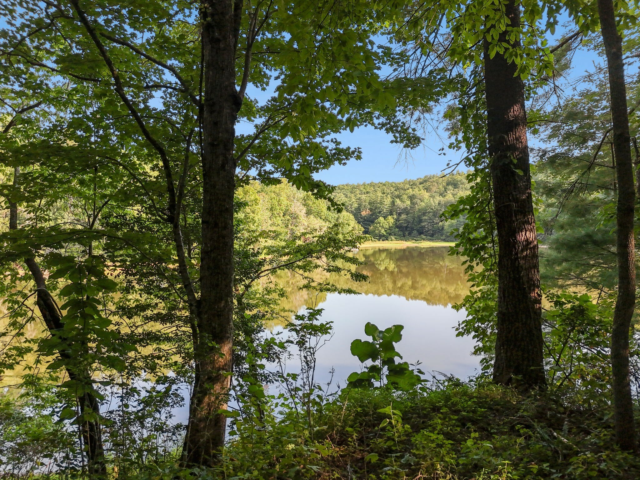 Property Photo:  0 Bear Den Trail  TN 37337 