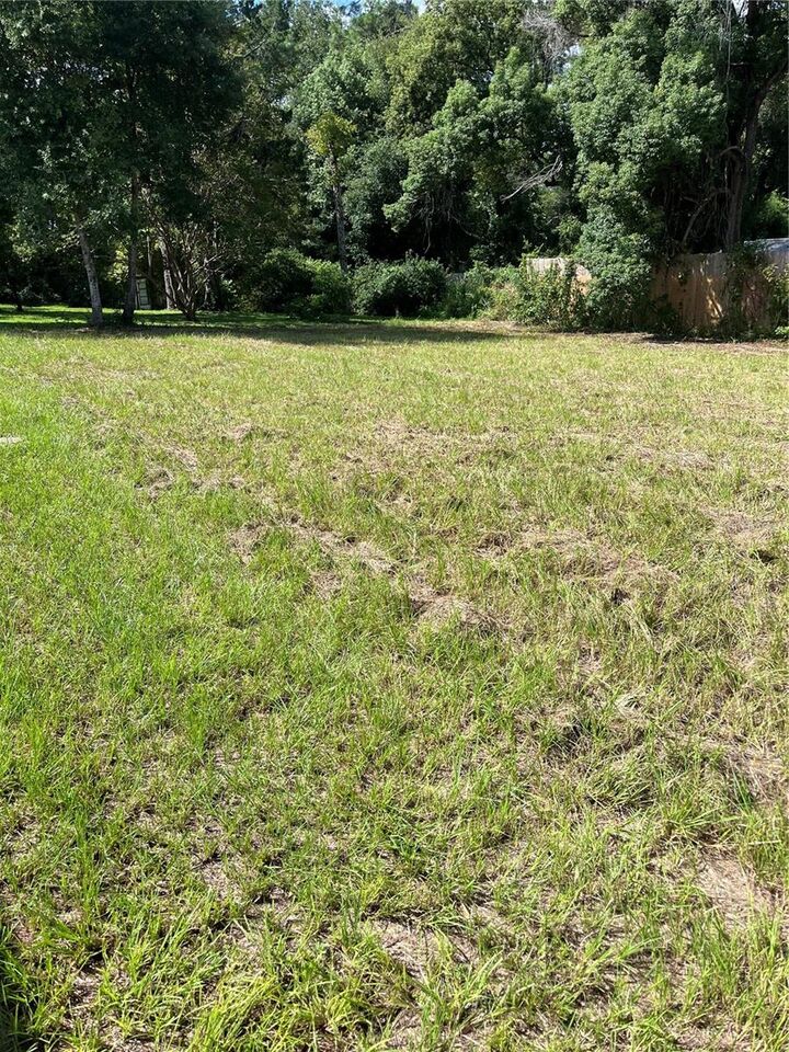 Property Photo:  220 Birch Avenue  FL 32763 