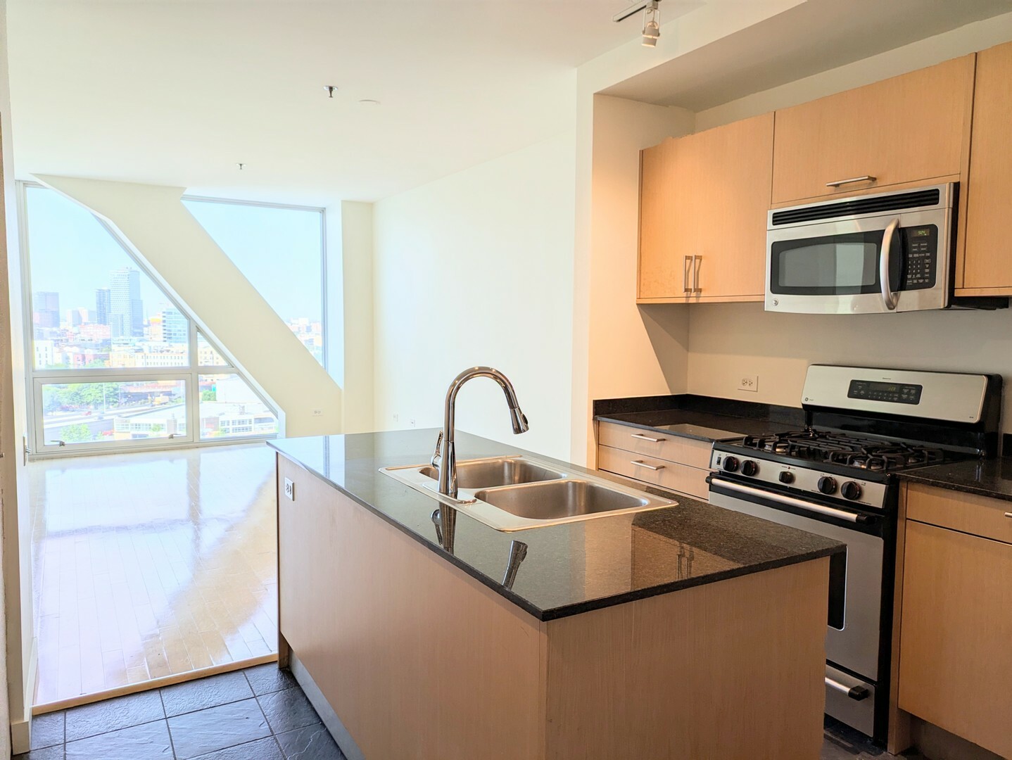 Property Photo:  510 W Erie Street 1204  IL 60654 