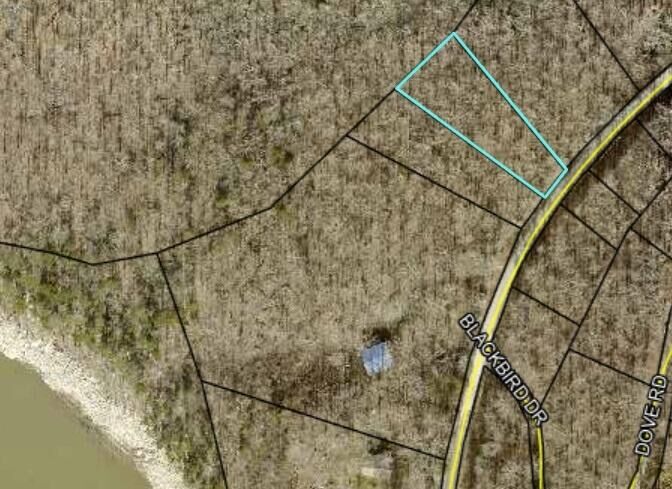 Property Photo: Lot 41 Paradise Acres KY 42501