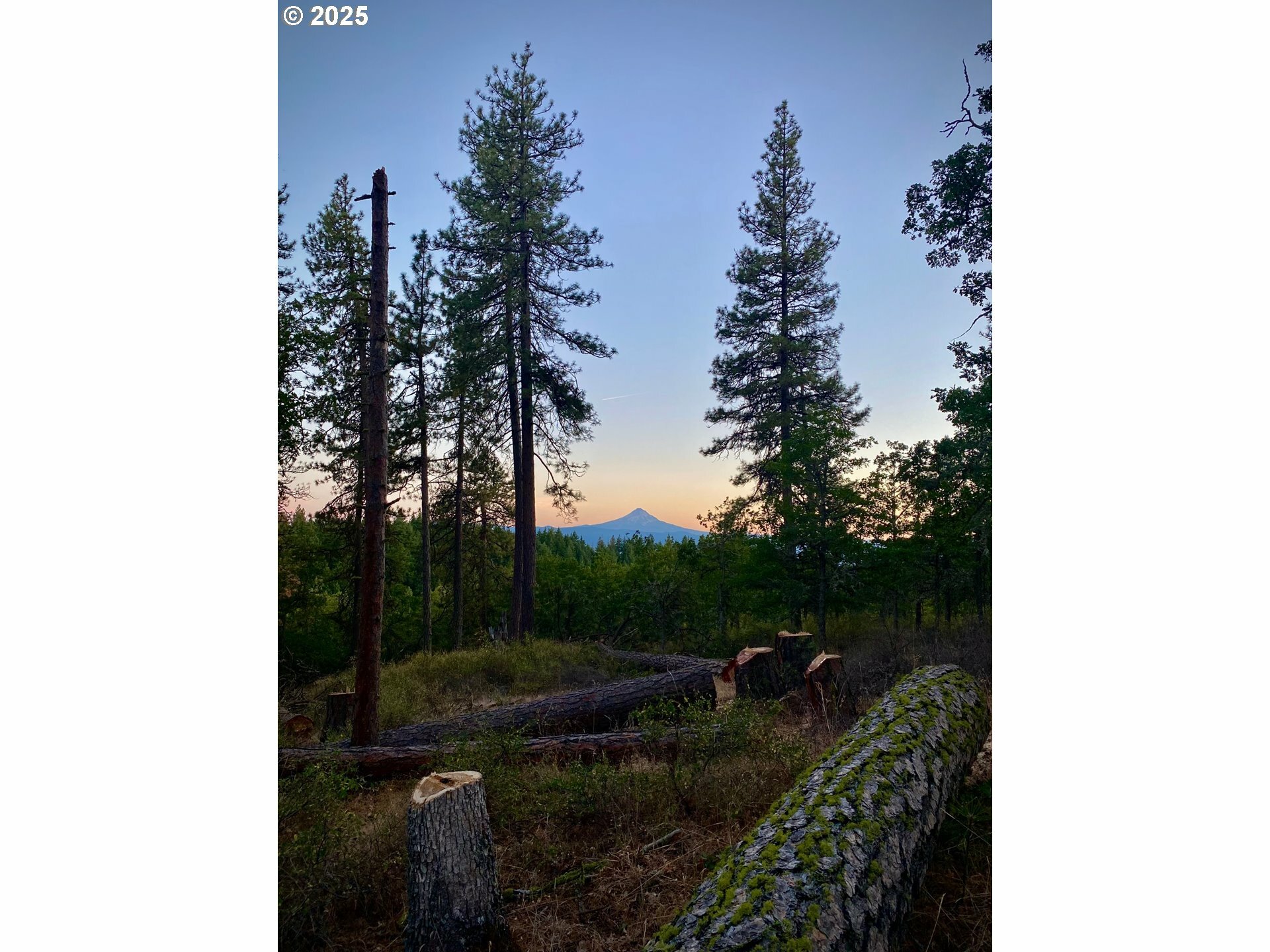 Secluded Way 2  Lyle WA 98635 photo