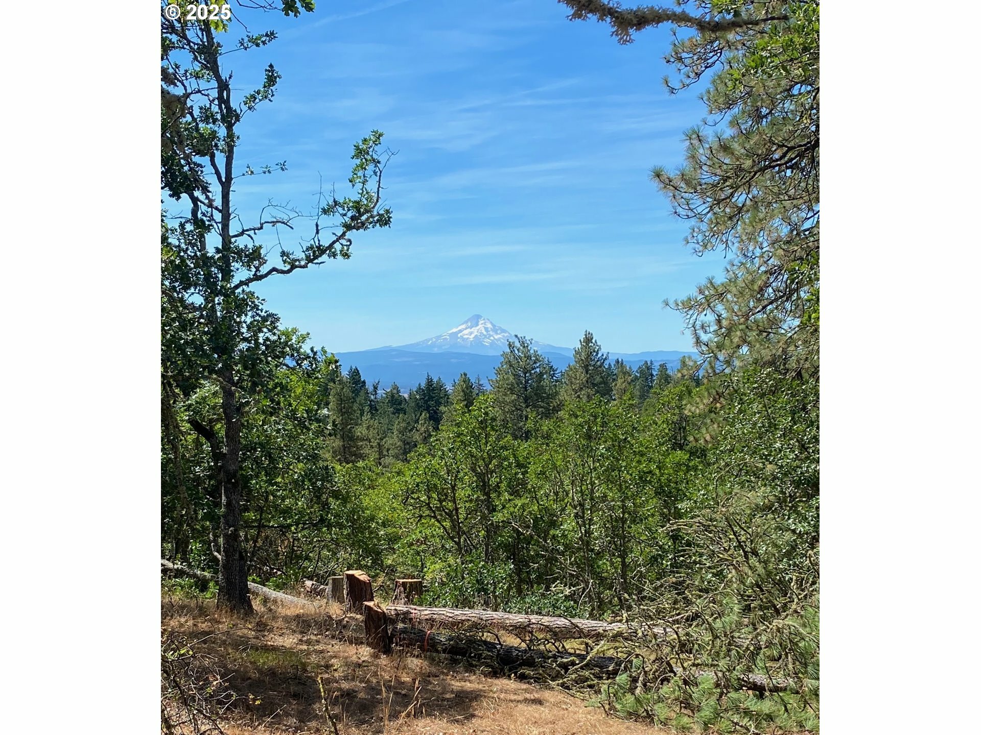 Property Photo:  Secluded Way 4  WA 98635 