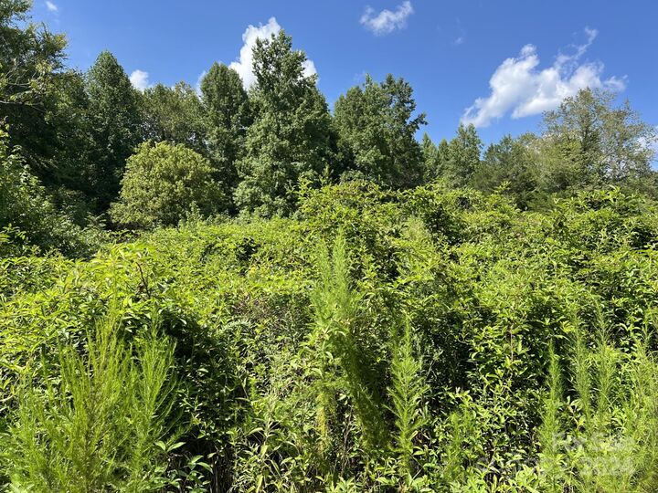 Property Photo:  00 Hastings Drive  NC 28001 