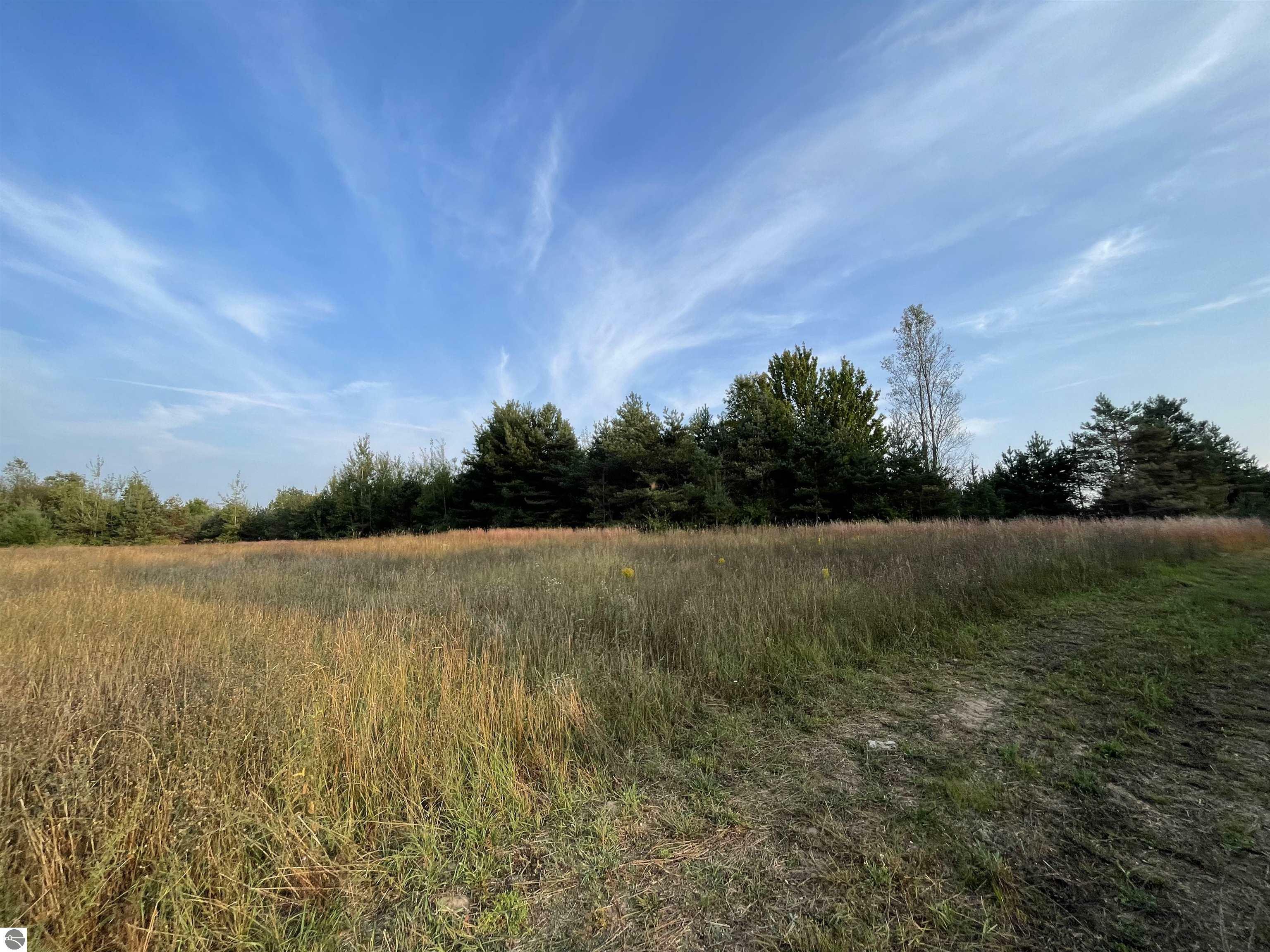 Property Photo:  V/L Parcel F E 18 1/2 Road  MI 49663-8553 