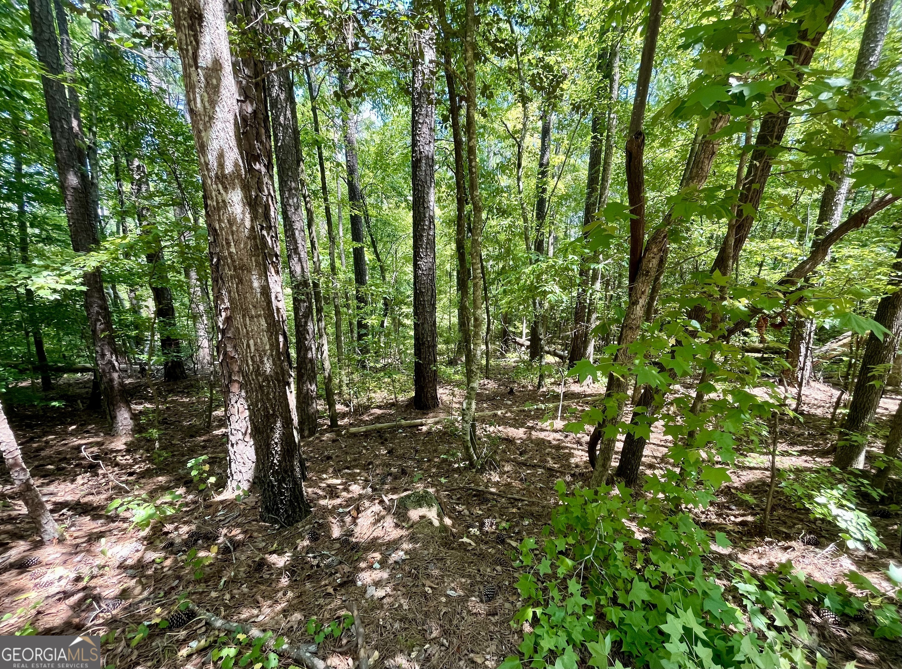 Property Photo:  0 Night Hawk Ct Court Lot 56  GA 31064 