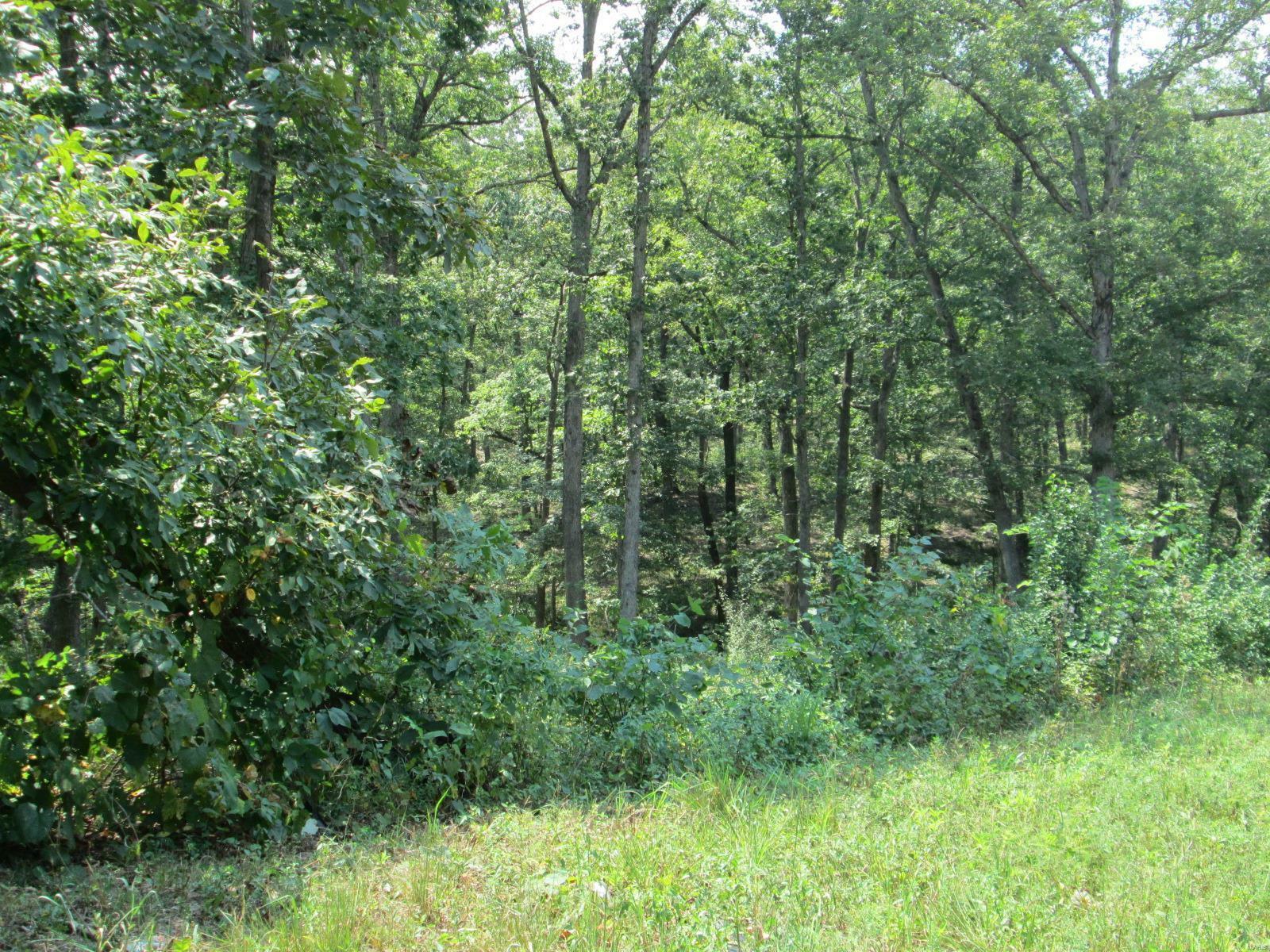 Property Photo:  0 Hwy 30 Gravois Rd 14.73 Acres  MO 63077 