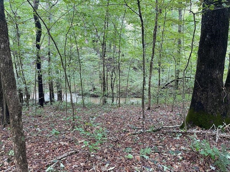 Property Photo:  0 Co Rd 1119  AL 35179 - VINEMONT 