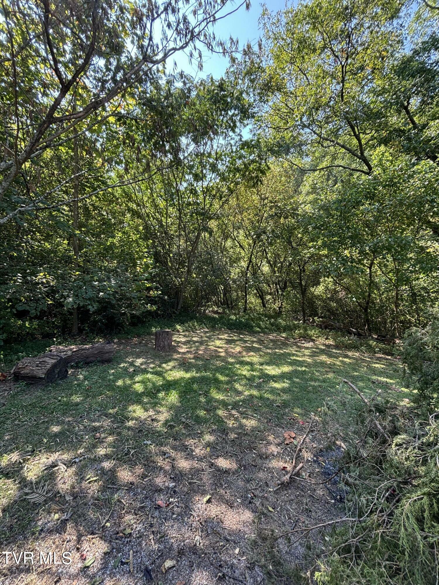 Property Photo:  515 Cash Hollow Road  TN 37601 