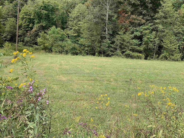 Property Photo:  Lick Creek Road  KY 41180 