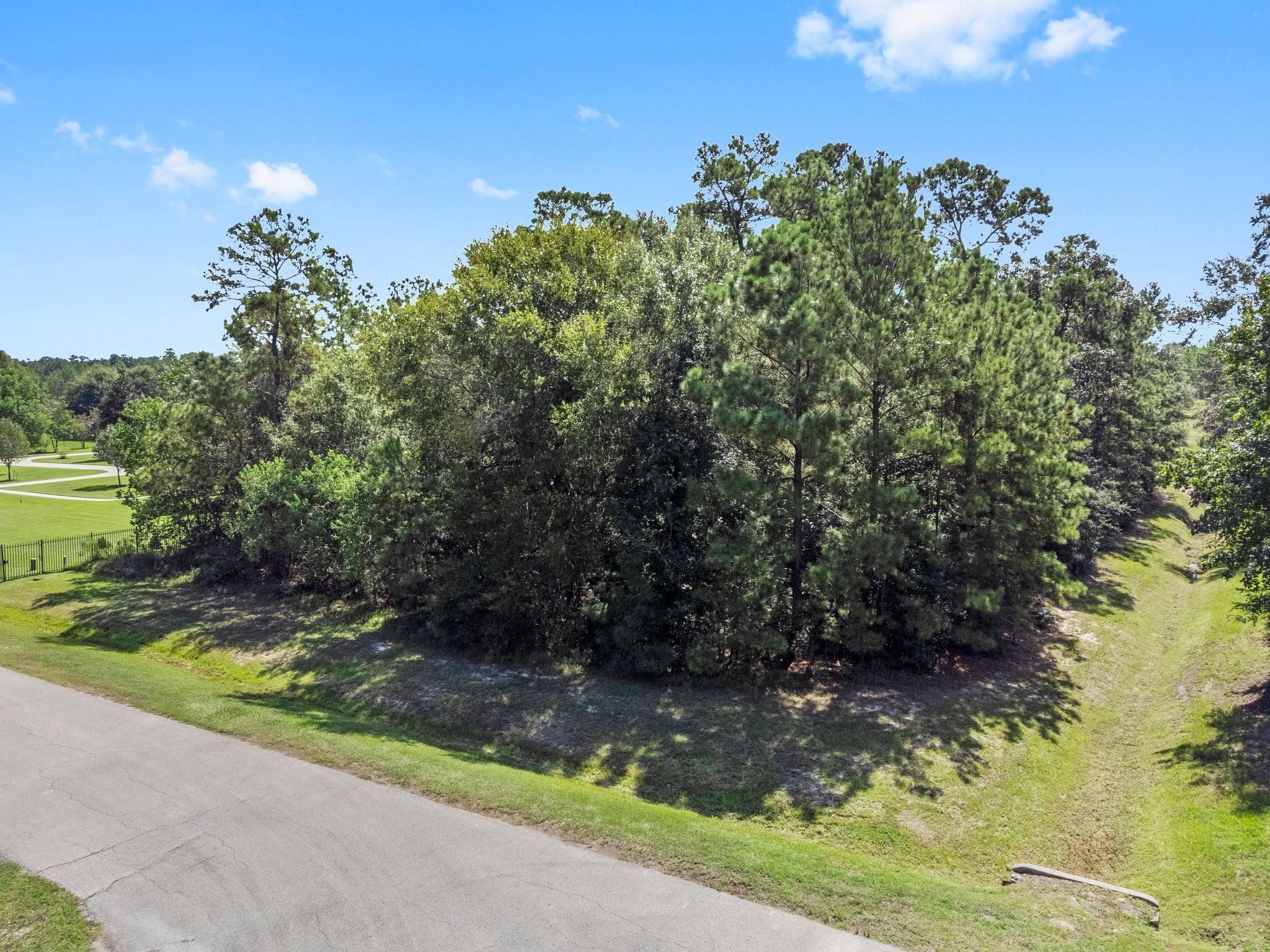 Property Photo:  27410 E Benders Landing Boulevard  TX 77386 