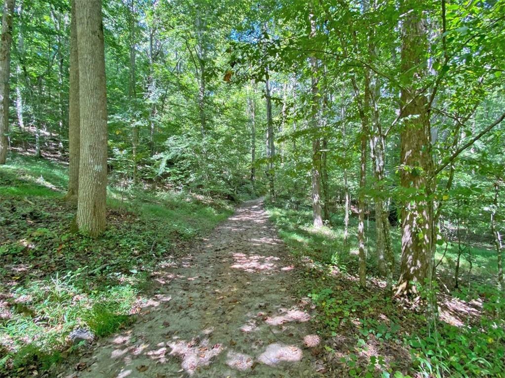 Property Photo:  0 Falling Pines Road  GA 30533 