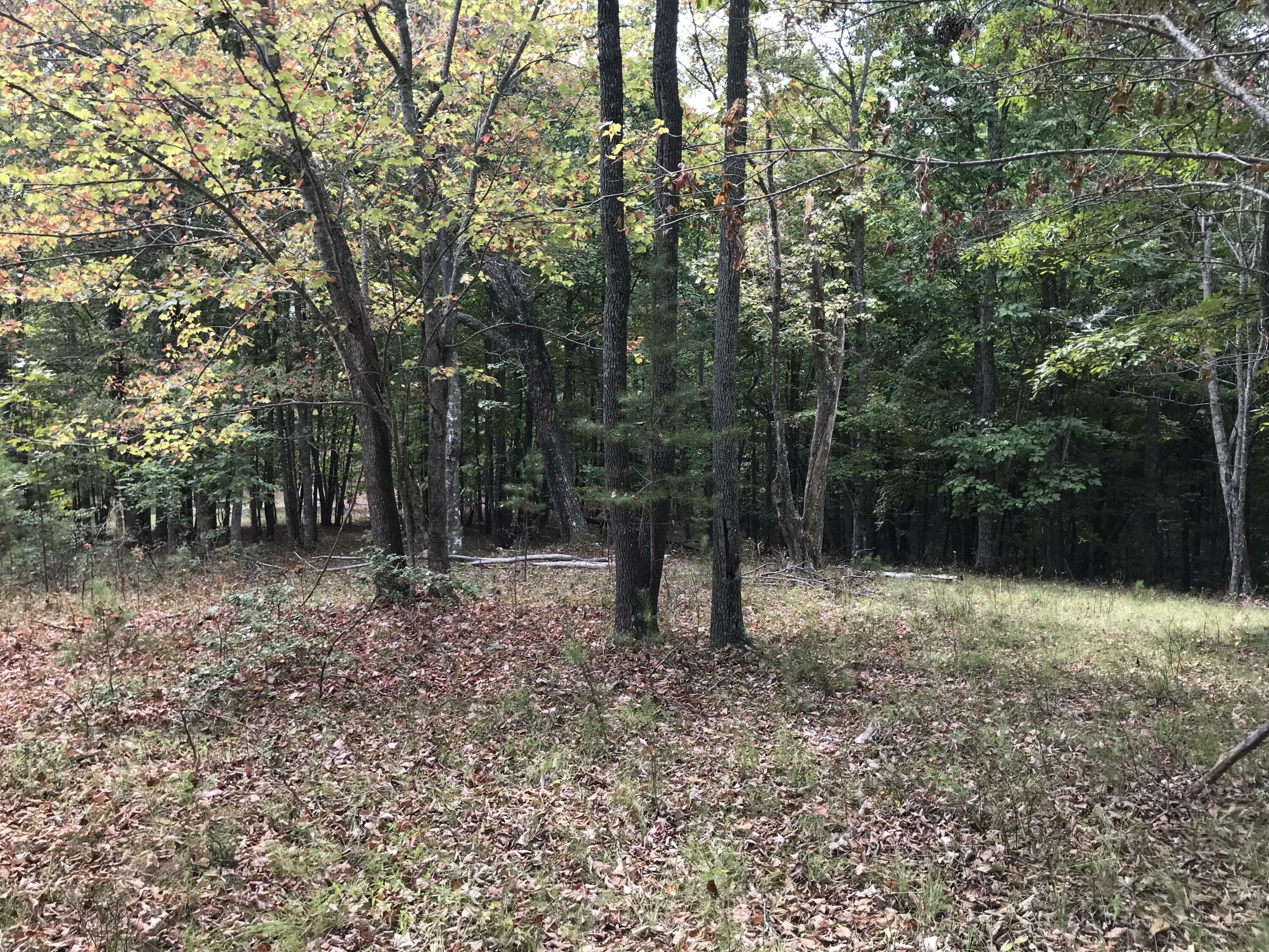 103-B Bluffview Drive  Dunlap TN 37327 photo