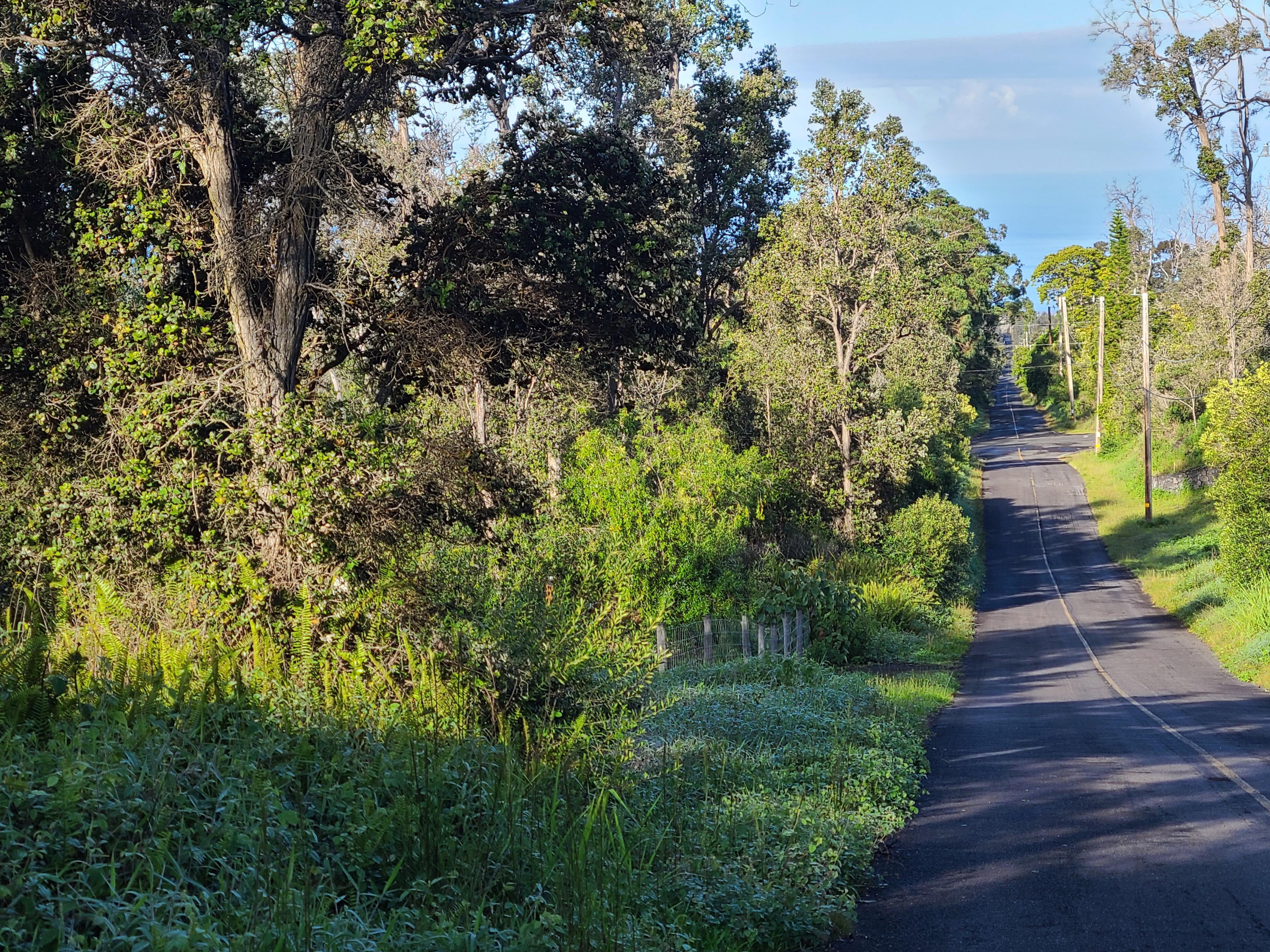 Property Photo:  Hukilau Dr  HI 96737 