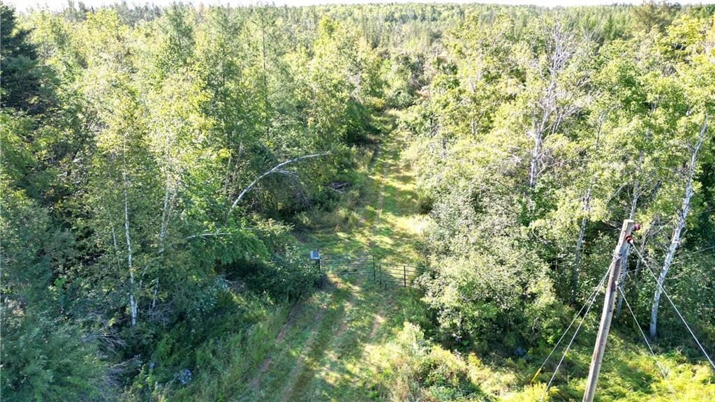166 Acres Cth J  Ladysmith WI 54848 photo
