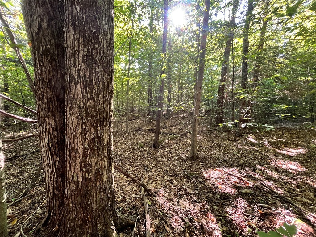 Property Photo:  Lot 1 Lockwood Run Road E  NY 14902 