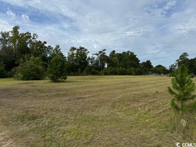 Property Photo: Lot 2 Sand Plant Rd. SC 29581