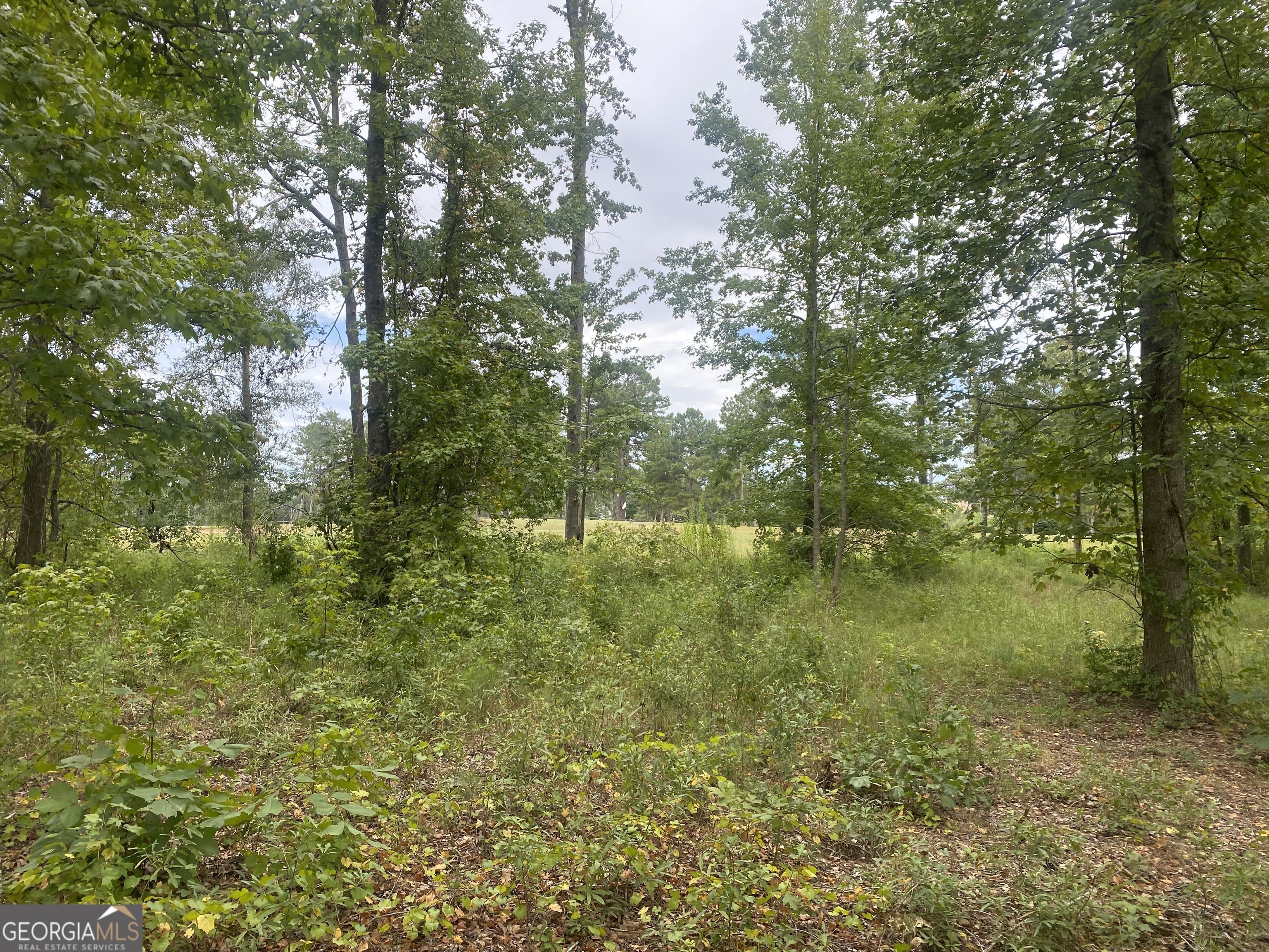 Property Photo:  1517 Cabin Creek Trail  GA 30223 