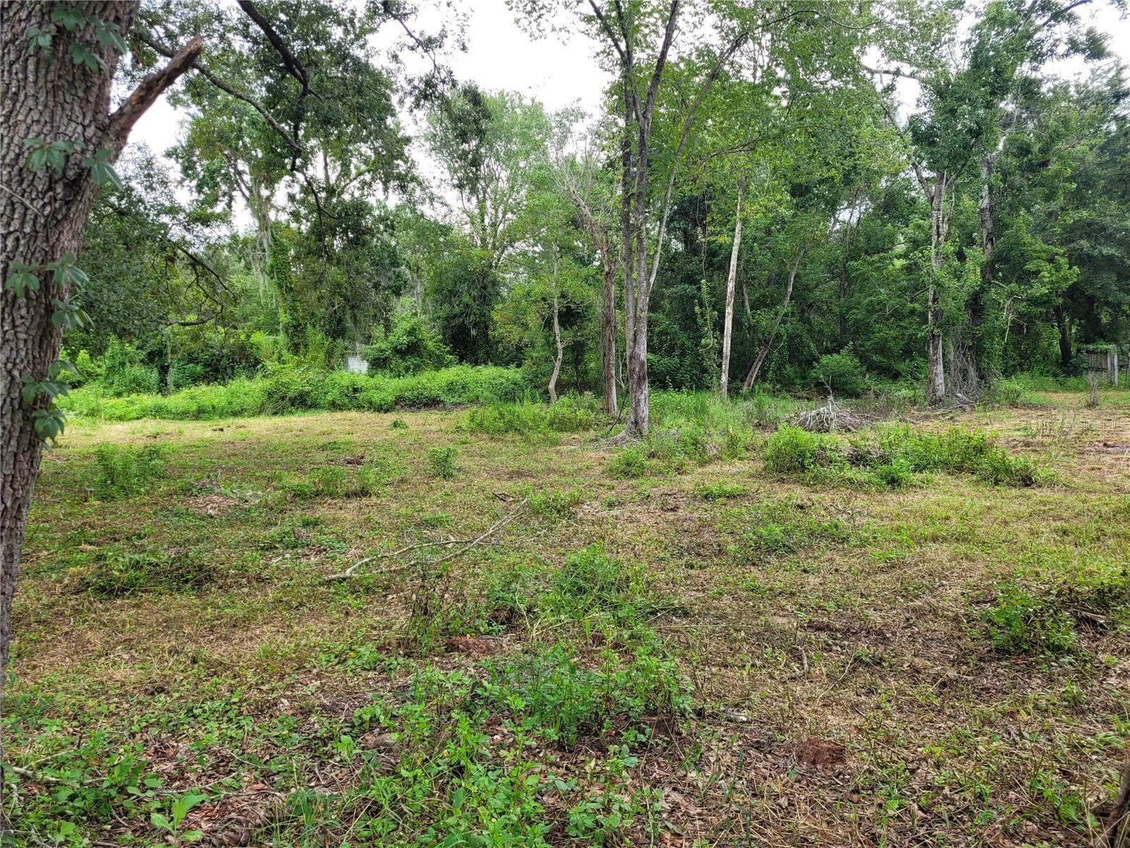 Property Photo:  Lake Drive  FL 34654 