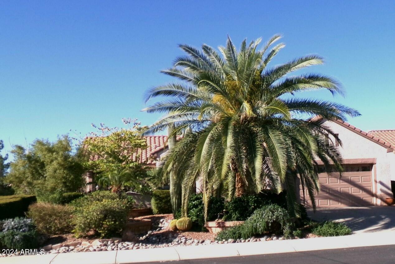 Property Photo:  15576 W Coral Pointe Drive  AZ 85374 