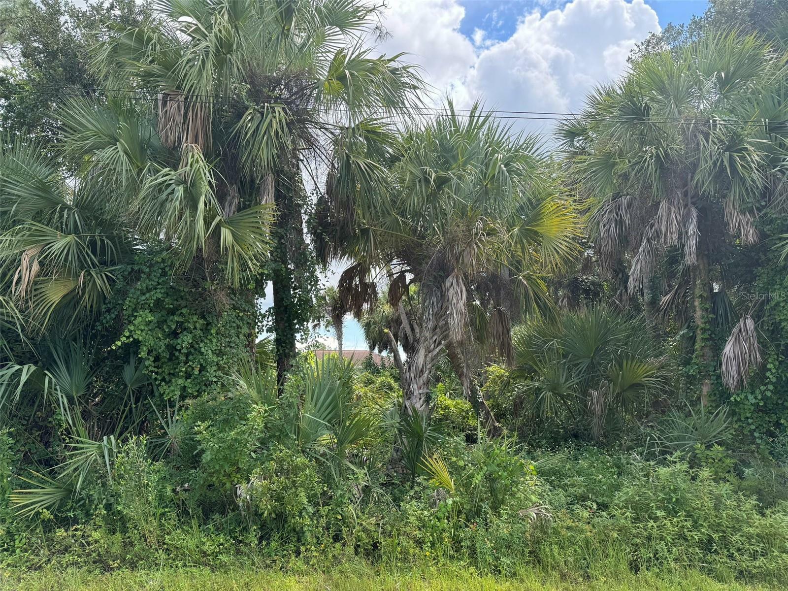 Property Photo:  Dumont Lane  FL 34286 