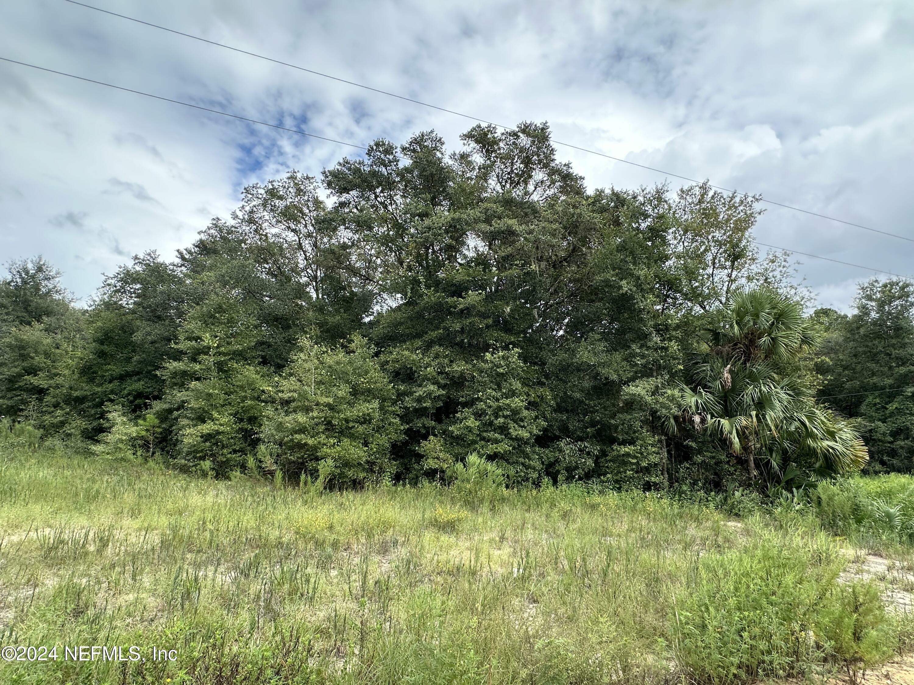 Property Photo:  00 Kin Street  FL 32148 