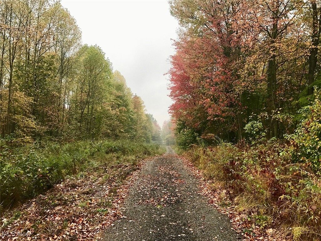 Property Photo:  Bryant  OH 44231 