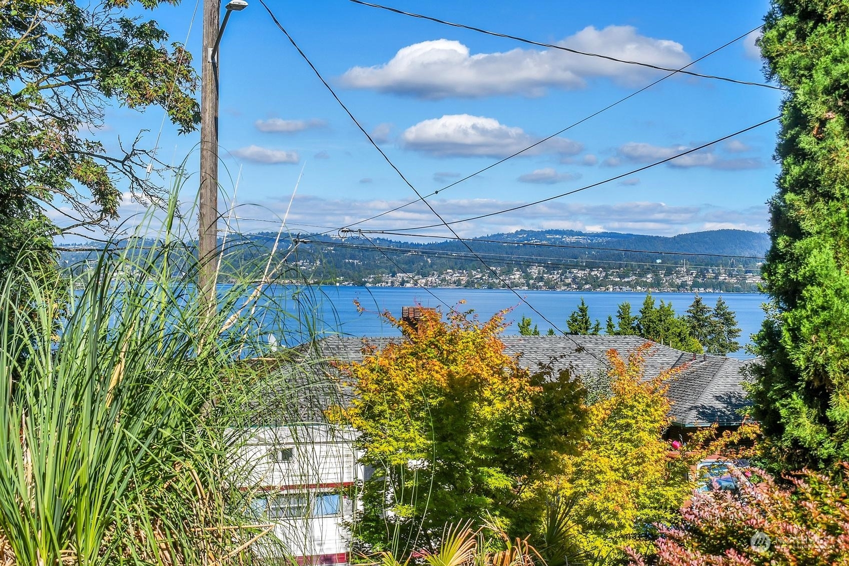 Property Photo:  10045 Arrowsmith Avenue S  WA 98178 