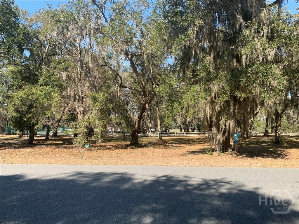 Property Photo: .50 Ac Hidden Lagoon Lane NE GA 31331