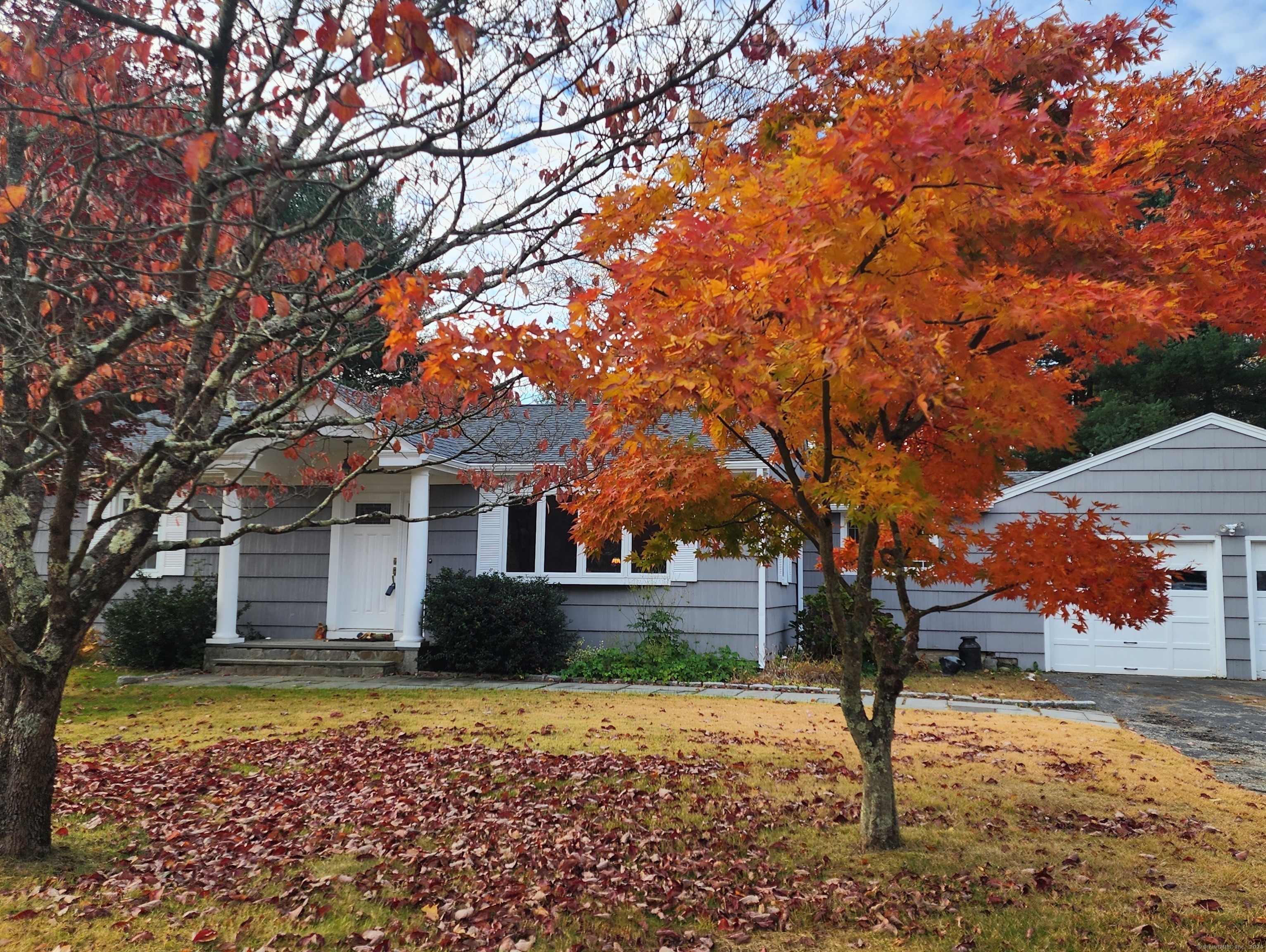 Property Photo:  3 Diane Drive  CT 06468 