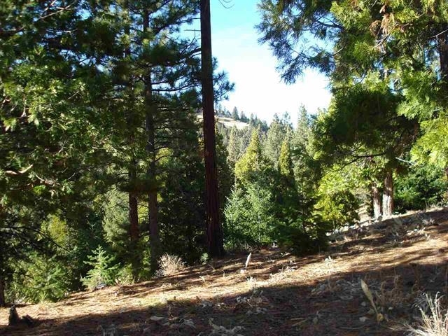 Property Photo:  369 Big Grizzly Road  CA 96122 